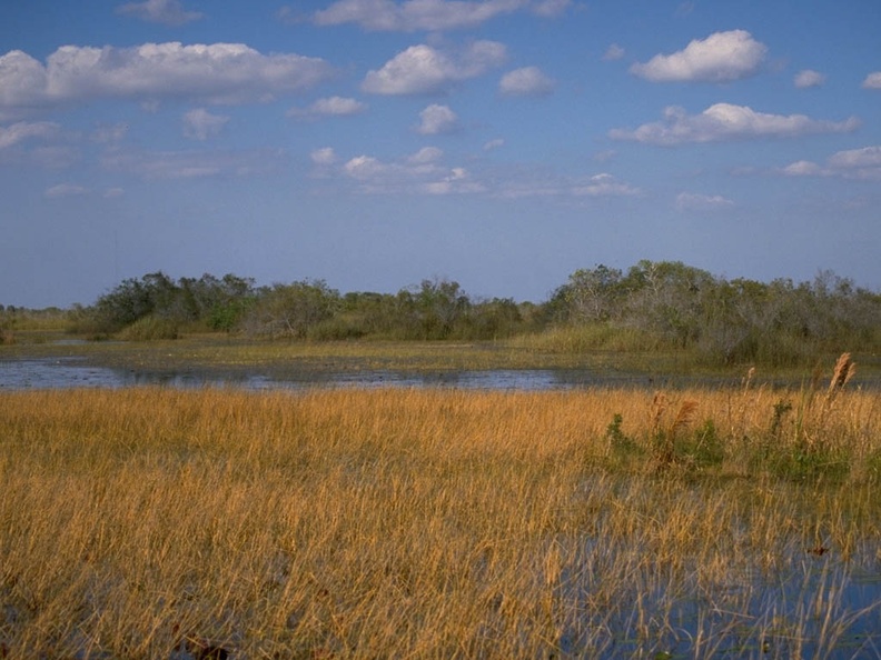 1024Landscape484